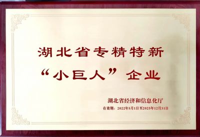 湖北省專精特新“小巨人”企業