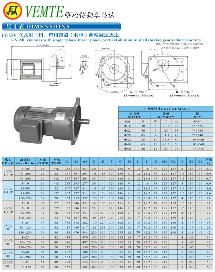 GV立式三項，單項齒輪減速馬達